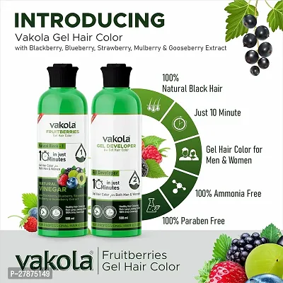 Vakola Natural Black Professional Gel hair Color for Both MenWomen -500mlx2-thumb4