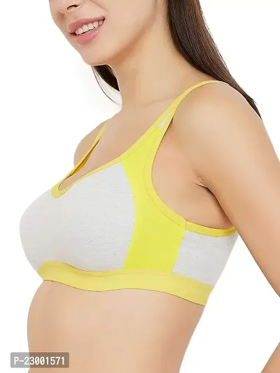 Stylish Multicoloured Cotton Solid Bras For Women Pack Of 2-thumb2