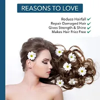 Aayuzon Anti Hair Fall Hair Care Set - Black Seed Onion Shampoo 200 ml + Conditioner 200 ml + Hair Oil 200 ml-thumb1