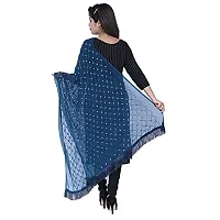 TVESA Women's Embroidered Chiffon Dupatta (roshni-d1_Peacock_Free Size)-thumb3