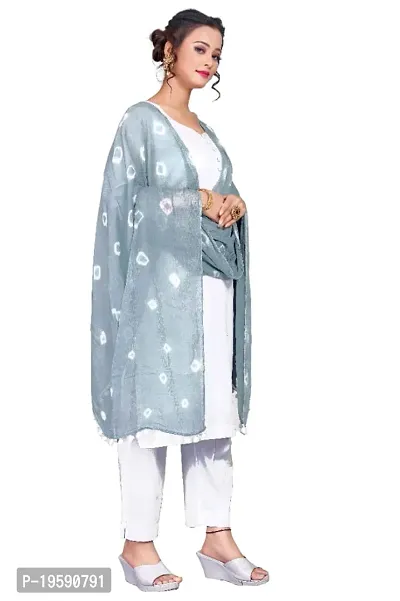 Premvati Collection Women's Solid Chiffon Dupatta (Bandhani Grey_Grey_Free Size).-thumb3