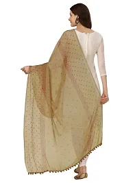 Nimidiya Hand Block Printed With Natural Dyes Chiffon Dupataa (BINGE)-thumb1