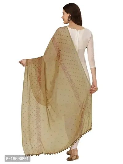 Nimidiya Hand Block Printed With Natural Dyes Chiffon Dupataa (BINGE)-thumb2