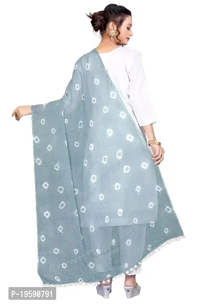 Premvati Collection Women's Solid Chiffon Dupatta (Bandhani Grey_Grey_Free Size).-thumb4