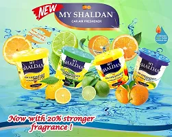 My Shaldan Japan Gel Car Perfume Air Freshener (Squash, 80 g, Citrus)-thumb2