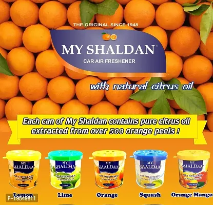 My Shaldan Japan Gel Car Perfume Air Freshener (Squash, 80 g, Citrus)-thumb2