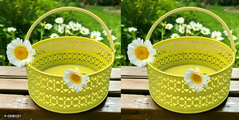 Metal Fruit And Flowers Storage Basket Pack of 2