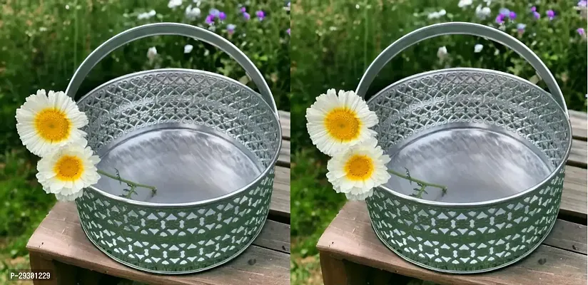 Metal Fruit And Flowers Storage Basket Pack of 2