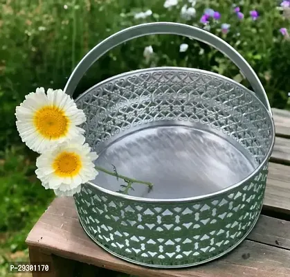 Metal Fruit And Flowers Storage Basket