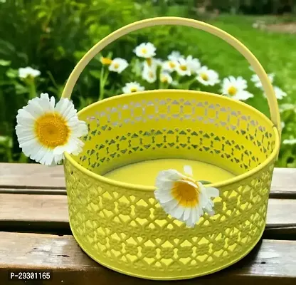 Metal Fruit And Flowers Storage Basket