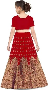 Red Silk Embroidered Lehenga Cholis-thumb1