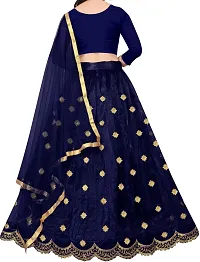 Blue Silk Blend Embroidered Lehenga Cholis-thumb1