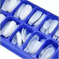 Plusbeauty 100 pc White Nail, 100 pc Transparent and 2 Glue-thumb2