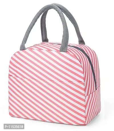 Stylbase Lunch Bag Insulated Canvas Tote Travel Tiffin Bag Thermal Food Insulated Cooler Bags Thermal Food Picnic Lunch Bags for Kids, Women, Men for Office, College  School (Pink)-thumb0