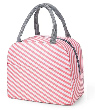 Stylbase Lunch Bag Insulated Canvas Tote Travel Tiffin Bag Thermal Food Insulated Cooler Bags Thermal Food Picnic Lunch Bags for Kids, Women, Men for Office, College & School