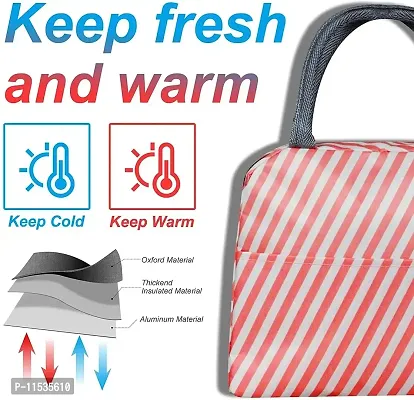 Stylbase Lunch Bag Insulated Canvas Tote Travel Tiffin Bag Thermal Food Insulated Cooler Bags Thermal Food Picnic Lunch Bags for Kids, Women, Men for Office, College  School (Pink)-thumb4