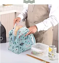 Stylbase Lunch Bag Insulated Canvas Tote Travel Tiffin Bag Thermal Food Insulated Cooler Bags Thermal Food Picnic Lunch Bags for Kids, Women, Men for Office, College & School (Green 2)-thumb4