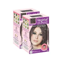 Vegetal Bio Colour, 50G, Pack Of 2, Burgundy-thumb2