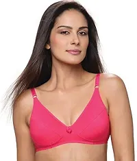 Lovable Cotton Non Padded Non Wired Full Coverage Pink Bra - All Day Long - L-1797-BRIGHT PINK-34B-thumb1