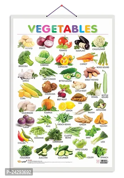 Vegetables Early Learning Educational Chart for Kids | 20X30 inch |Non-Tearable and Waterproof | Double Sided Laminated | Perfect for Homeschooling, Kindergarten and Nursery Students