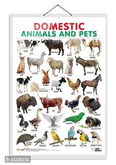 Domestic Animals and Pets Early Learning Educational Chart for Kids | 20X30 inch |Non-Tearable and Waterproof | Double Sided Laminated |-thumb0
