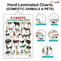 Domestic Animals and Pets Early Learning Educational Chart for Kids | 20X30 inch |Non-Tearable and Waterproof | Double Sided Laminated |-thumb3