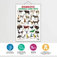 Domestic Animals and Pets Early Learning Educational Chart for Kids | 20X30 inch |Non-Tearable and Waterproof | Double Sided Laminated |-thumb1