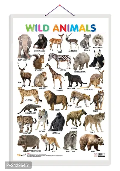 Wild Animals Early Learning Educational Chart for Kids | 20X30 inch |Non-Tearable and Waterproof | Double Sided Laminated | Perfect for Homeschooling.