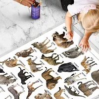 Wild Animals Early Learning Educational Chart for Kids | 20X30 inch |Non-Tearable and Waterproof | Double Sided Laminated | Perfect for Homeschooling.-thumb4