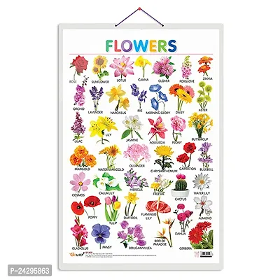 Flowers Early Learning Educational Chart for Kids | 20X30 inch |Non-Tearable and Waterproof | Double Sided Laminated | Perfect for Homeschooling.