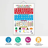 Alphabet, Numbers, Shapes  Colours 1 Early Learning Educational Chart for Kids | 20X30 inch |Non-Tearable and Waterproof | Double Sided Laminated | Perfect for Homeschooling.-thumb3