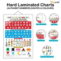 Alphabet, Numbers, Shapes  Colours 1 Early Learning Educational Chart for Kids | 20X30 inch |Non-Tearable and Waterproof | Double Sided Laminated | Perfect for Homeschooling.-thumb1