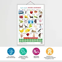 Arabic Alphabetensp;(Arabic) Early Learning Educational Chart for Kids | 20X30 inch |Non-Tearable and Waterproof | Double Sided Laminated | Perfect for Homeschooling, Kindergarten and Nursery Students.-thumb3