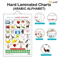 Arabic Alphabetensp;(Arabic) Early Learning Educational Chart for Kids | 20X30 inch |Non-Tearable and Waterproof | Double Sided Laminated | Perfect for Homeschooling, Kindergarten and Nursery Students.-thumb1