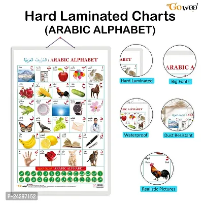 Arabic Alphabetensp;(Arabic) Early Learning Educational Chart for Kids | 20X30 inch |Non-Tearable and Waterproof | Double Sided Laminated | Perfect for Homeschooling, Kindergarten and Nursery Students.-thumb2