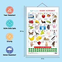 Arabic Alphabetensp;(Arabic) Early Learning Educational Chart for Kids | 20X30 inch |Non-Tearable and Waterproof | Double Sided Laminated | Perfect for Homeschooling, Kindergarten and Nursery Students.-thumb4