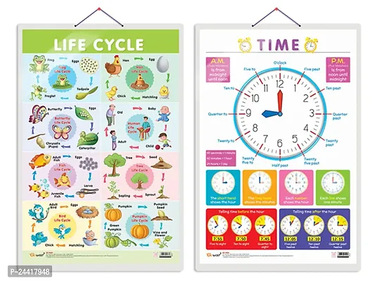 Set of 2 Life Cycle and TIME Early Learning Educational Charts for Kids | 20X30 inch |Non-Tearable and Waterproof | Double Sided Laminated | Perfect for Homeschooling.