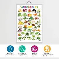 Set of 3 Alphabet, Fruits and Vegetables Early Learning Educational Charts for Kids | 20X30 inch |Non-Tearable and Waterproof | Double Sided Laminated | Perfect for Homeschooling-thumb3