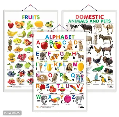 Set of 3 Alphabet, Fruits and Domestic Animals and Pets Early Learning Educational Charts for Kids | 20X30 inch |Non-Tearable and Waterproof | Double Sided Laminated | Perfect for Homeschooling.