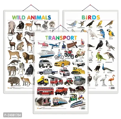 Set of 3 Wild Animals, Birds and Transport Early Learning Educational Charts for Kids | 20X30 inch |Non-Tearable and Waterproof | Double Sided Laminated | Perfect for Homeschooling.