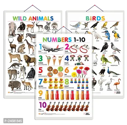 Set of 3 Wild Animals, Birds and Numbers 1-10 Early Learning Educational Charts for Kids | 20X30 inch |Non-Tearable and Waterproof | Double Sided Laminated | Perfect for Homeschooling.