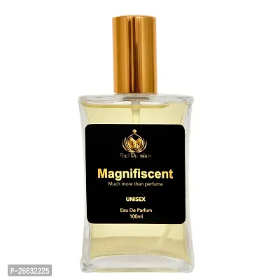 Men  Women Premium Luxury Long Lasting Perfume MAGNIFISCENT 100ML by Europa Products | Strong Scent Attar Perfumes for Gents  Ladies | Eau De Parfum Body Spray for Unisex