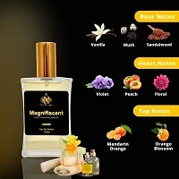 Men  Women Premium Luxury Long Lasting Perfume MAGNIFISCENT 100ML by Europa Products | Strong Scent Attar Perfumes for Gents  Ladies | Eau De Parfum Body Spray for Unisex-thumb3