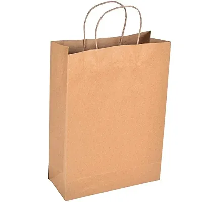 Buy Recycled Kraft Paper Gift Paper Carry Bag For Diwali, Shopping Bag,  Wedding Pack Of 10 (10X14X4-Inch) - Lowest price in India