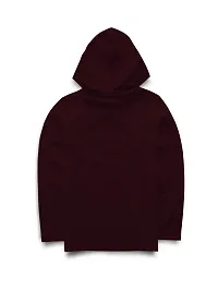 Stylish Multicoloured Full Sleeve Hooded T-shirt For Boys-Pack of 2-thumb1