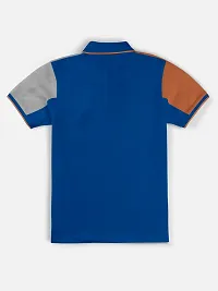 Stylish Blue Polo Collar Neck Half Sleeve Printed T-shirt For Boys-thumb1