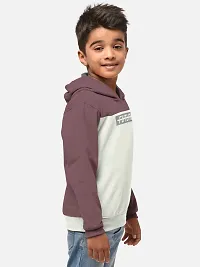 Fabulous Cotton Blend Printed Hooded Tees For Boys- Pack Of 2-thumb1