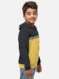 Fabulous Cotton Blend Printed Hooded Tees For Boys- Pack Of 2-thumb1