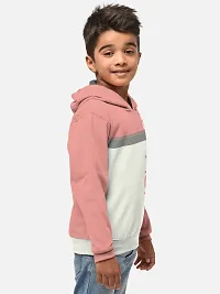 Fabulous Pink Cotton Blend Hooded Tees For Boys-thumb1