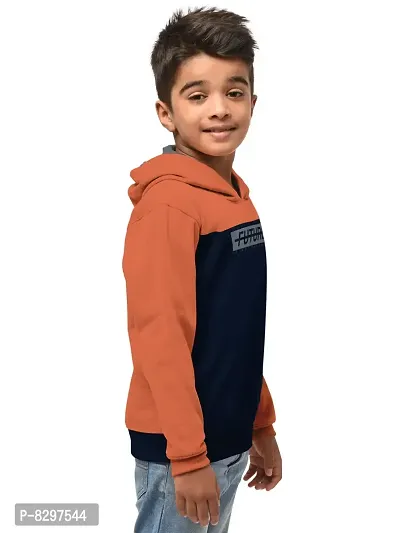 Stylish Cotton Blend Printed Hooded Sweatshirts For Boys  Pack Of 2-thumb2